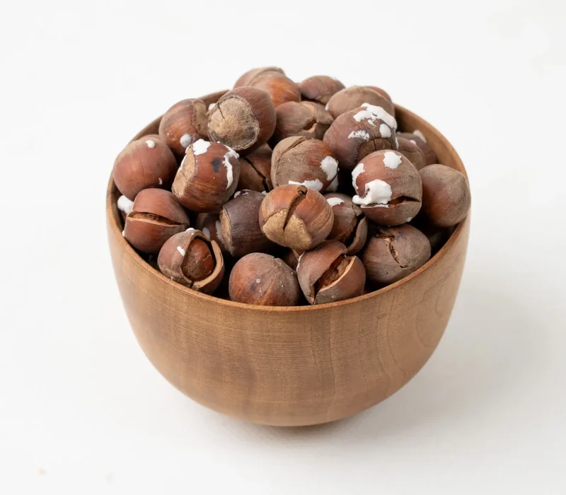 فندق-ایرانی-شور-سنتی-104